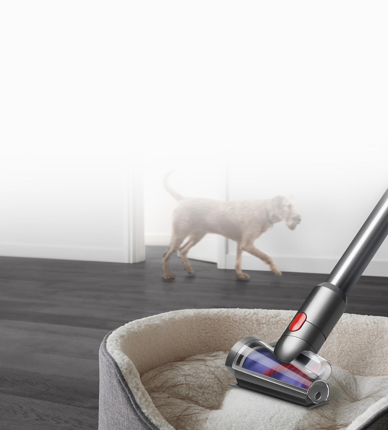 Hair screw tool cleaning a pet bed